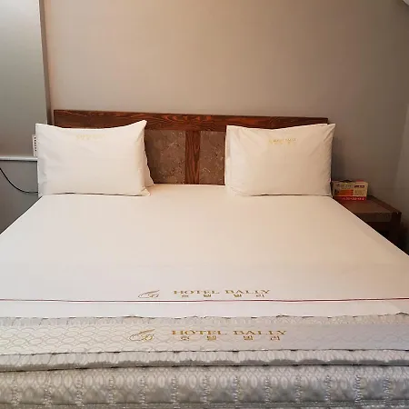 Bally Hotel